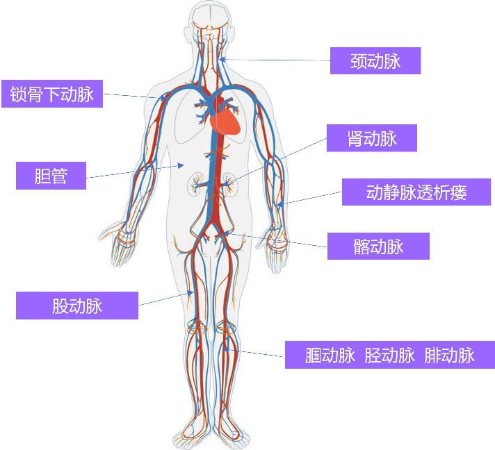 &#20048;&#40060;&#25163;&#26426;&#30331;&#24405;&#20837;&#21475;&#45;&#20048;&#40060;&#65288;&#20013;&#22269;&#65289;